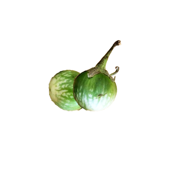 Mini Thai_Eggplant Thai Frisches Obst & Gemüse