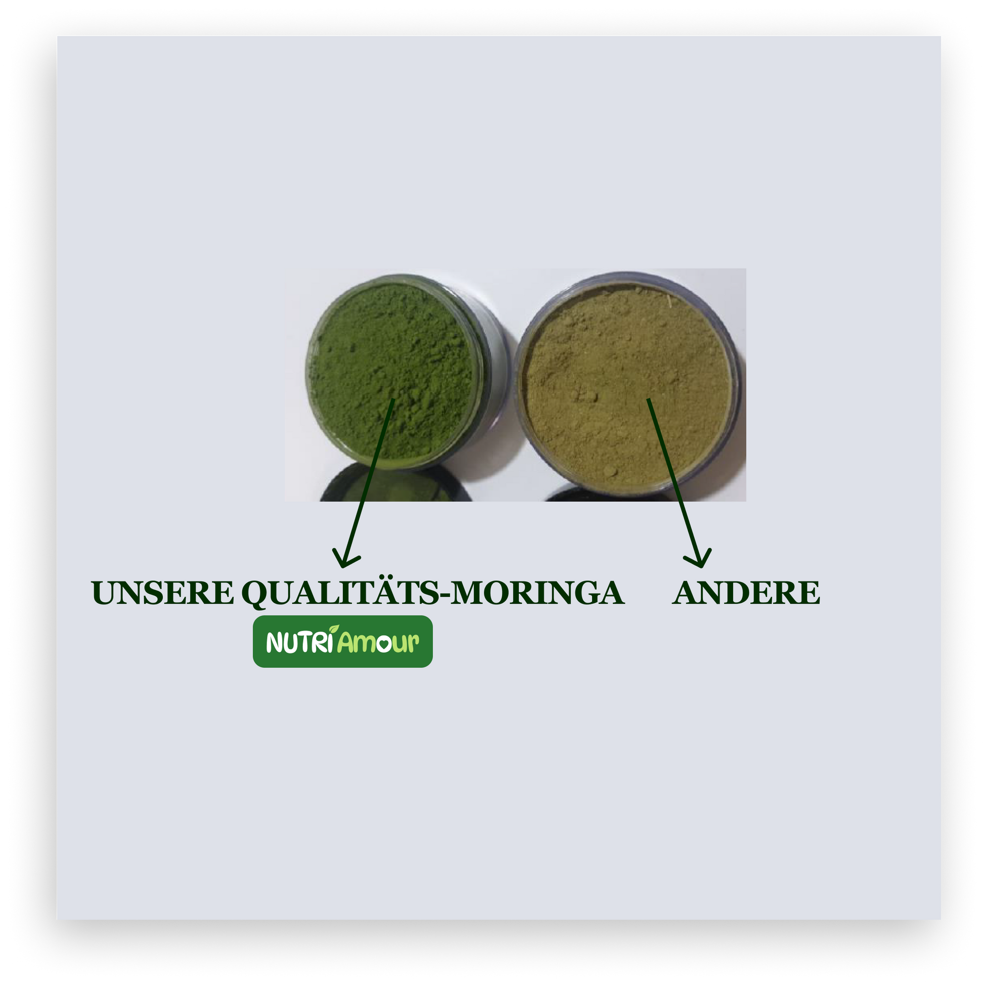 Laborgeprüftes Moringa Pulver kaufen (250g) – 100% Reines Blattpulver für Ihr Wohlbefinden.