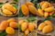Frische süße Saison Mango Lose (1 kg)