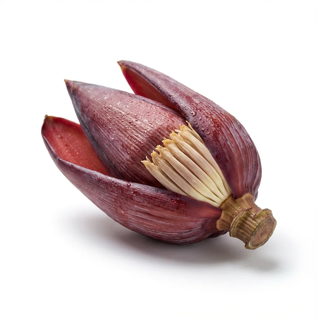 Fresh Banana Blossom in Germany