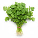 fresh coriander in Germany