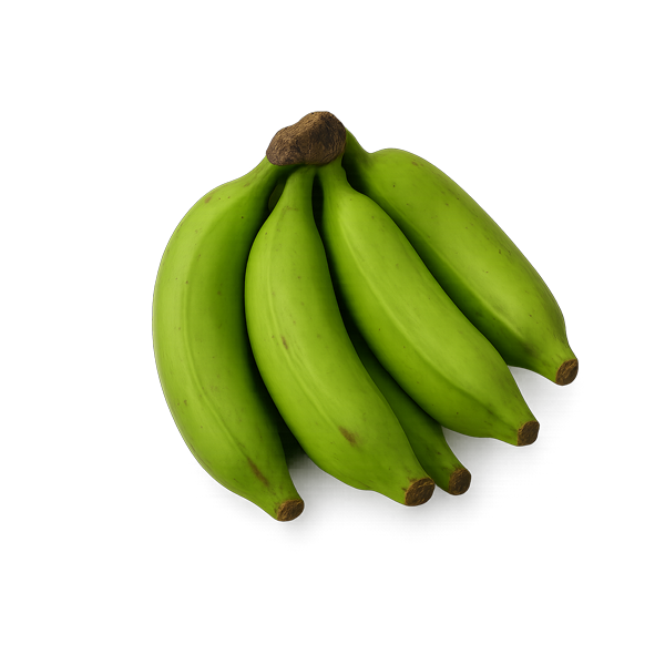 Fresh Matoke (Cooking Bananas) in Germany