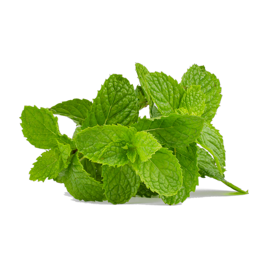 Buy fresh mint online in Germany near me at Sairas Hamburg. Shop & order mint for chutney, raita, salads & tea. Free delivery over €49.