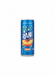 Rani Rani Float Peach 235ml - Indische Lebensmittel bei Sairas Hamburg
