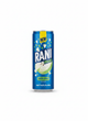 Rani Rani Float Green Apple 235ml - Indische Lebensmittel bei Sairas Hamburg