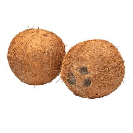 Kokosnuss_Coconut Produktbild