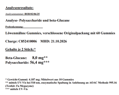 Laborgeprüfte Lion's Mane + Vitamin B6 Gummies - 60 pcs. zur Unterstützung von Nervensystem und Wohlbefinden.