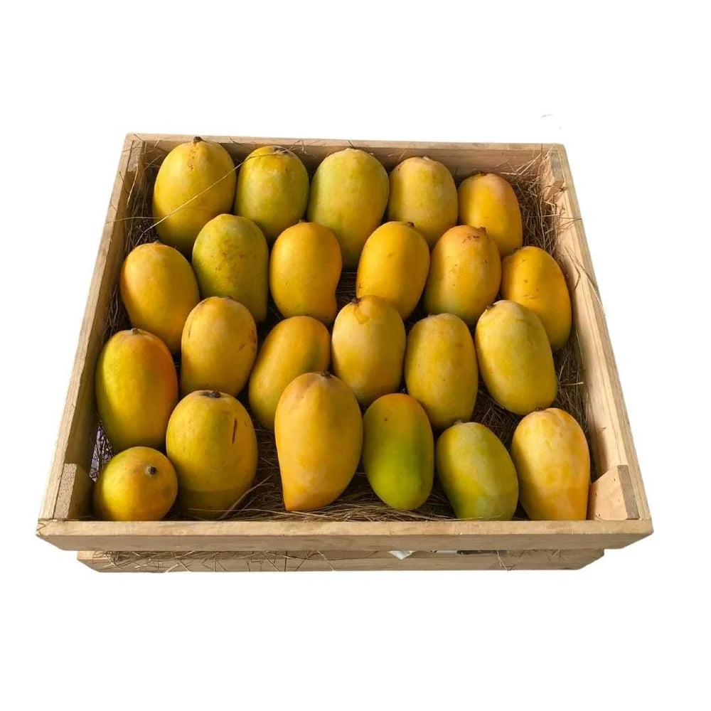 Mango KG Loose Produktbild