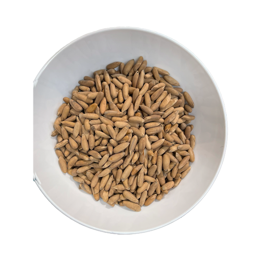 Pistazienkerne mit Schale Trockenfrüchte