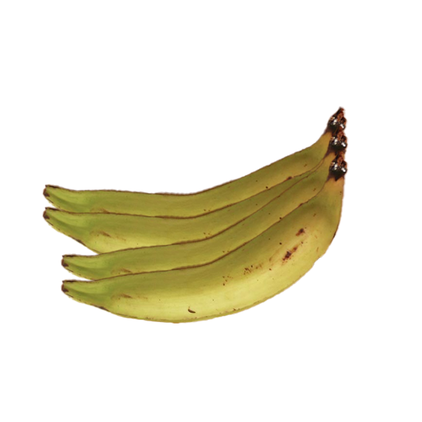 Thai Bananen_Kochbananen - Thai Bananen_Kochbananen