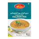 Shan Easy Cool Haleem Mix 300G Produktbild