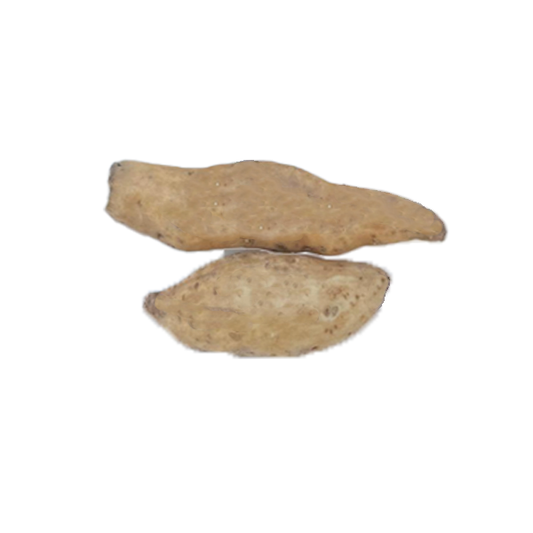 Süßkartoffel Weiß Frisches Obst & Gemüse