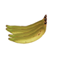 Sairas Frische Thai Bananen Kochbananen Baby Plantains - Exotisches Obst bei Sairas Hamburg