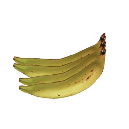 Fresh Thai bananas (baby plantains) in Germany – Sairas