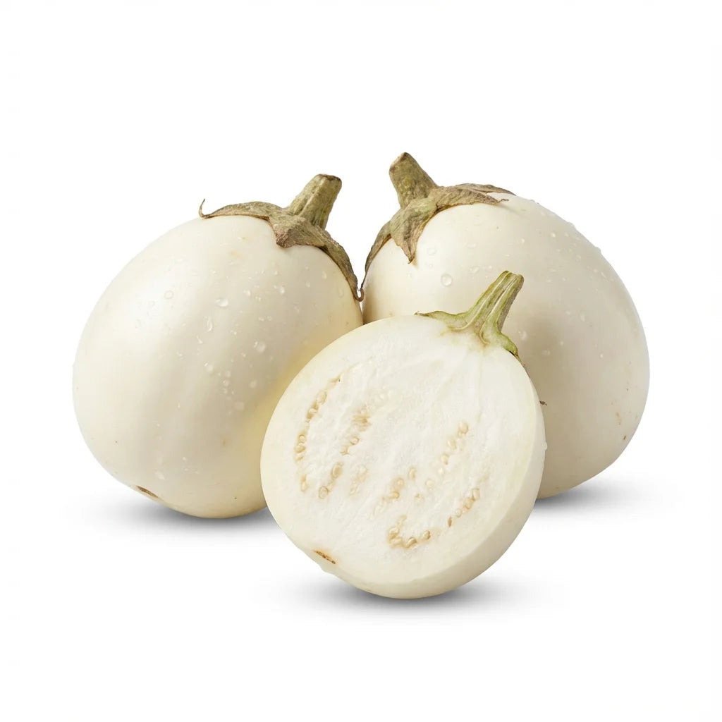 Fresh Ethiopian eggplant (garden eggs) in Germany – SAIRAS