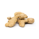Fresh ginger roots in Germany – Sairas