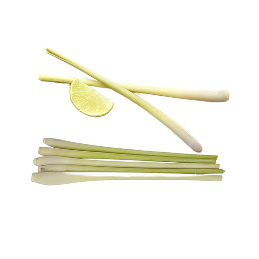 Fresh lemongrass stalks in Germany – Sairas