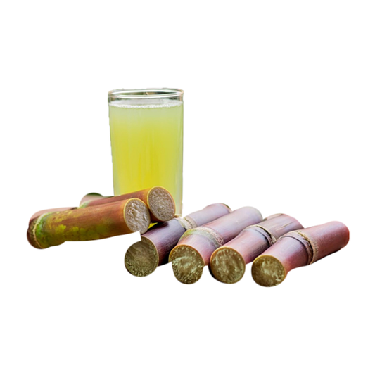 Fresh sugarcane (ganna) stalks in Germany – SAIRAS